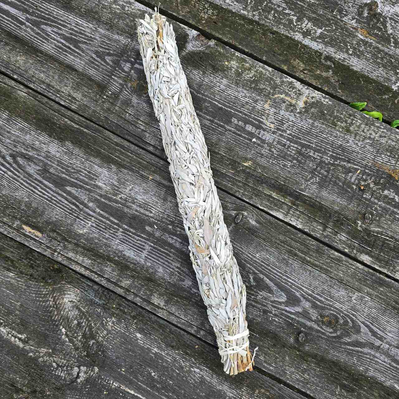 Szałwia Biała gigant 300g 0,5m - obrazek 5