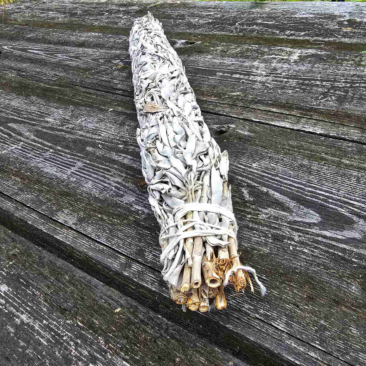 Szałwia Biała gigant 300g 0,5m - obrazek 7