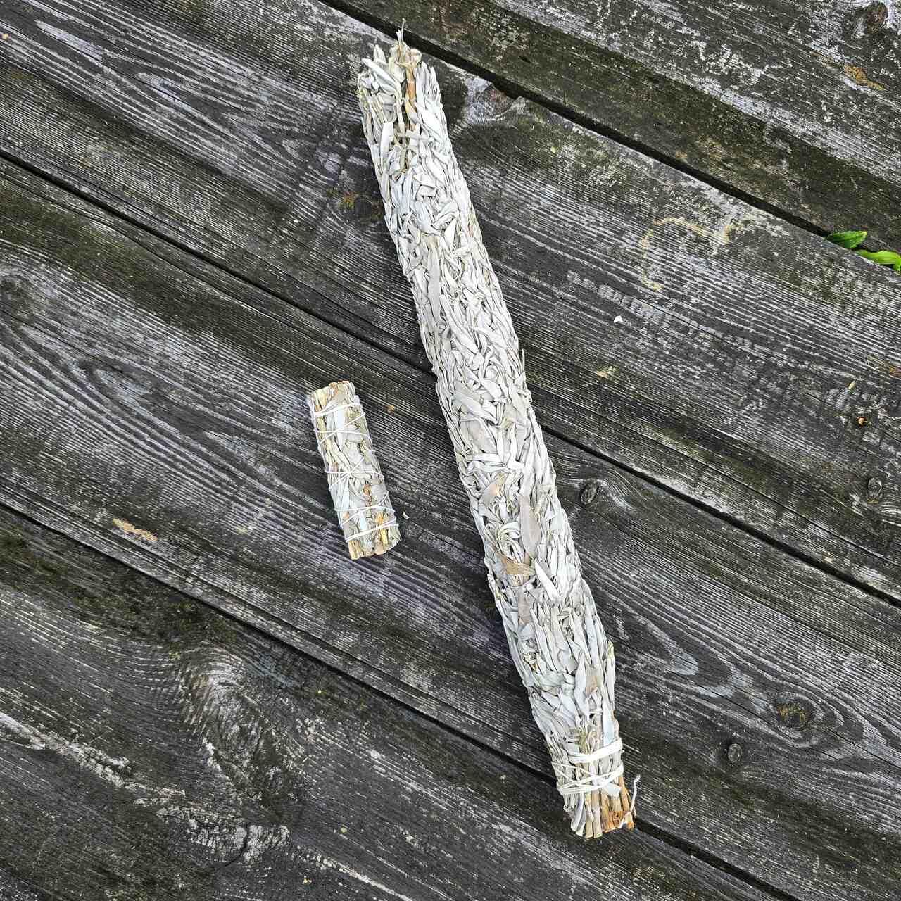 Szałwia Biała gigant 300g 0,5m - obrazek 8