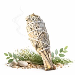 Szałwia Biała 24g - 28g