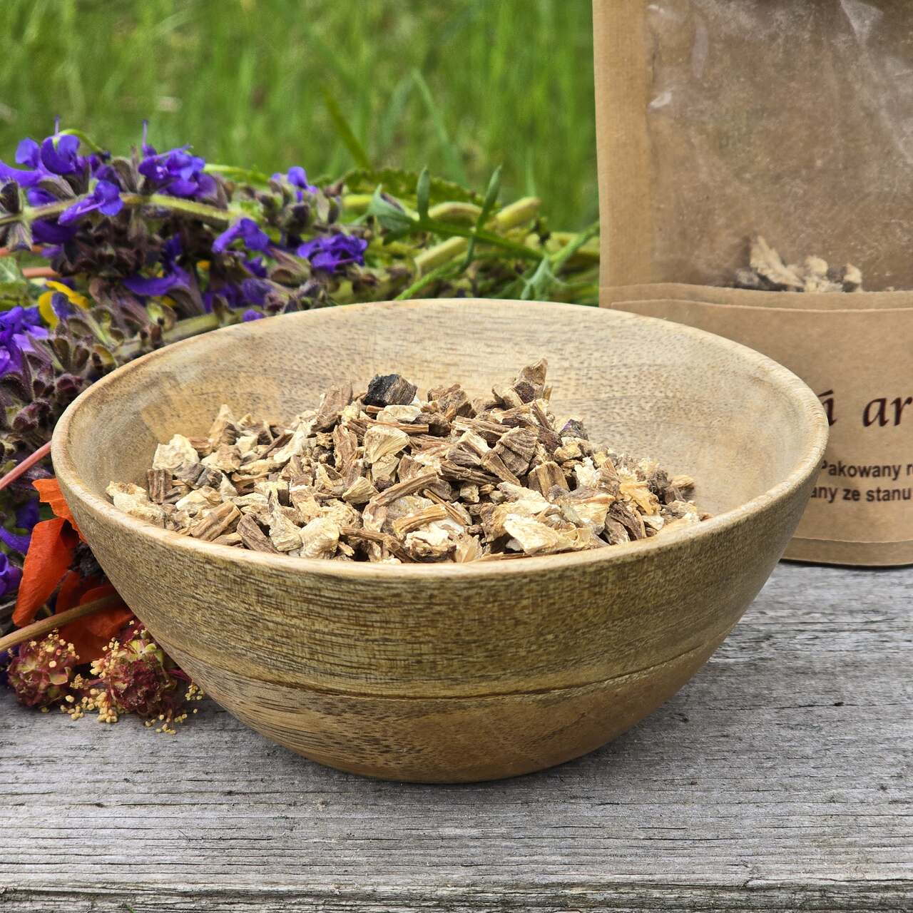 Korzeń arcydzięgla