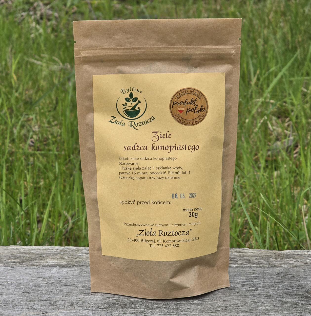 Ziele sadźca konopiastego - obrazek 3