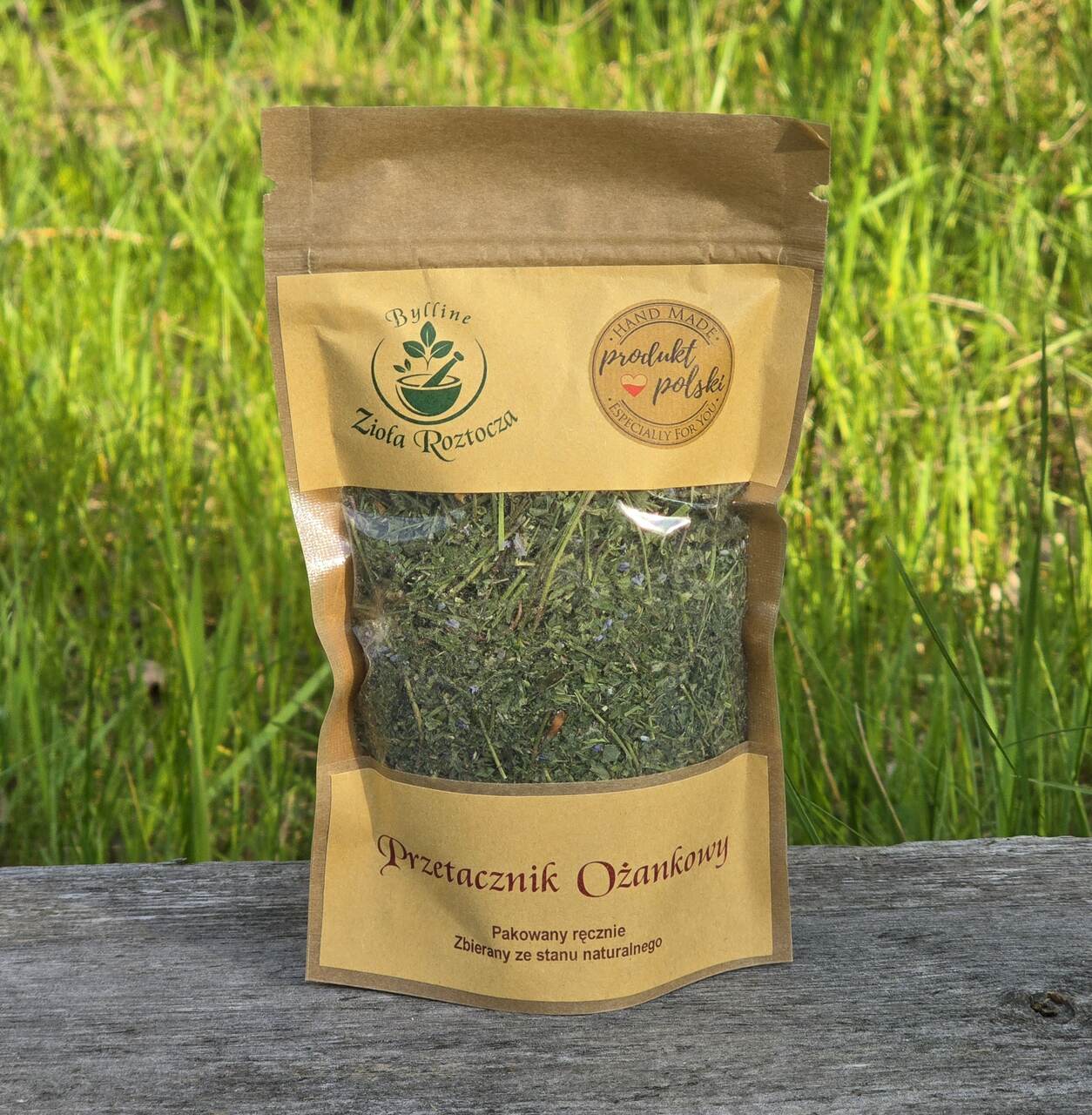 Przetacznik ożankowy - obrazek 2