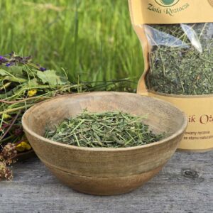 Przetacznik ożankowy