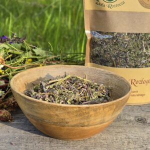 Dąbrówka rozłogowa