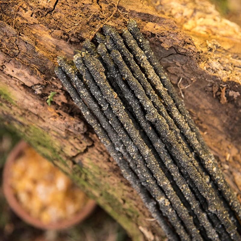 Sagrada Madre Natural Kadzidło - obrazek 2