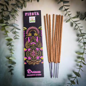 Namaste India Fiesta Sny