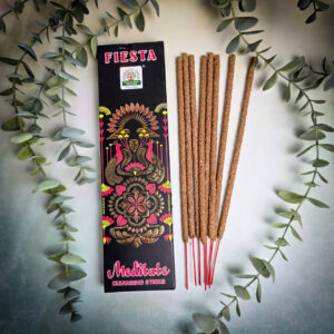 Namaste India Fiesta Medytacja