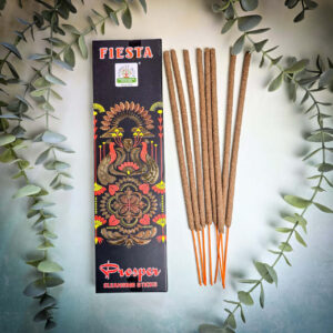 Namaste India Fiesta Dobrobyt