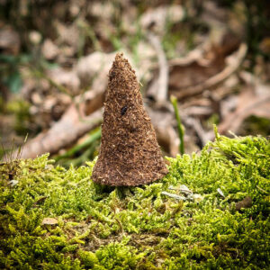 Stożek lawenda antystresowe