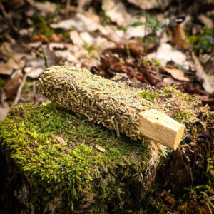 Palo Santo leśne jałowiec i cedr